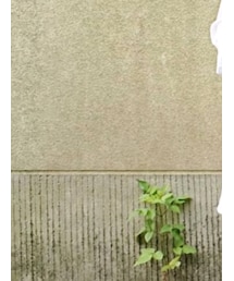 UNITED ARROWS | リング