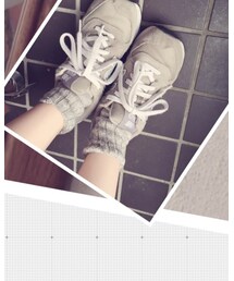 靴下屋 | ソックス/靴下