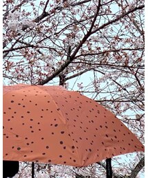 JILL STUART | 折りたたみ傘