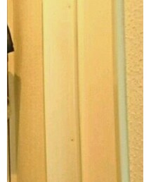 BURBERRY | ステンカラーコート