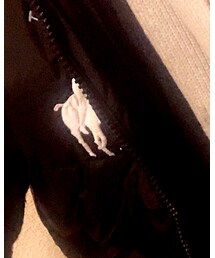 POLO RALPH LAUREN | ダウンベスト