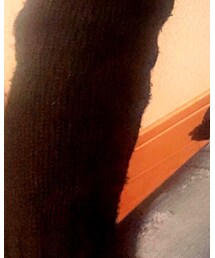 UNIQLO | ニット/セーター