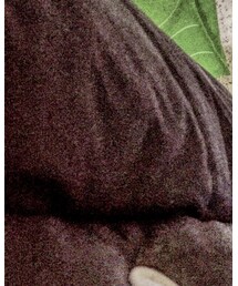 NIKE | スタジャン