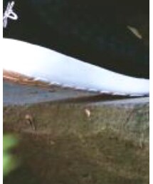 FOOT INDUSTRY | スニーカー