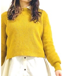 Ray BEAMS | ニット/セーター