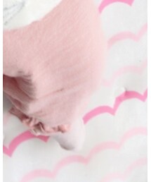 TOCCA | ソックス/靴下