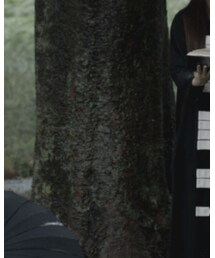 ha|za|ma | ワンピース