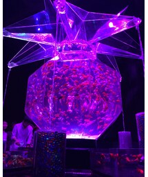 アートアクアリウム🐠 | その他