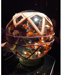 アートアクアリウム🐠 | その他