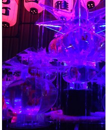 アートアクアリウム🐠 | その他