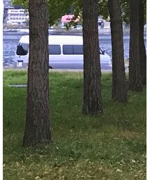 STABILIZER GNZ | SELVEDGE WIDE STRAIGHT(デニムパンツ)