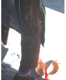 SPINNS | スカート