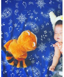 RASCAL | おもちゃ