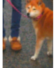 Minnetonka | モカシン/デッキシューズ