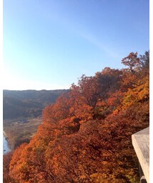 慰安旅行で見た紅葉🍁 | その他