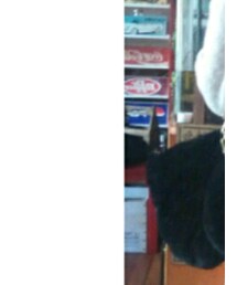 GU | ショルダーバッグ