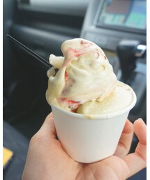 ジェラート🍨 | その他