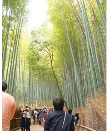 嵐山🎍 | その他