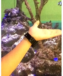 G-SHOCK | アナログ腕時計