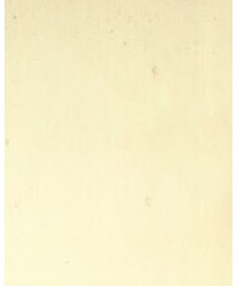 no brand | セットアップ