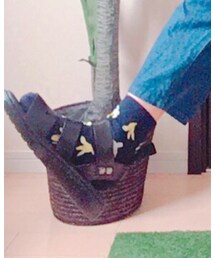 ROXD | ソックス/靴下