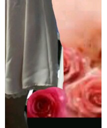 LODISPOTTO | スカート