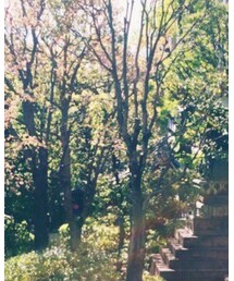 着物 | ワンピース