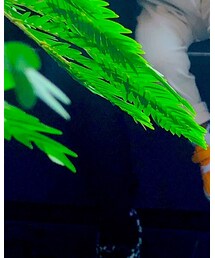 GU | スラックス