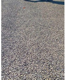 NIKE | ソックス/靴下