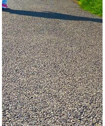 SKECHERS | スニーカー