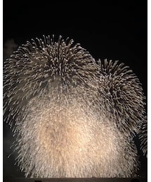 🎆 | その他