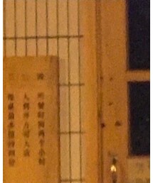 🦋 | Tシャツ/カットソー