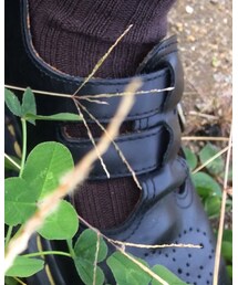 Dr. Martens | スニーカー