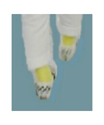 VANS | スリッポン