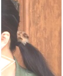 DAISO | ヘアゴム