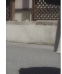 BIRKENSTOCK | シューズ