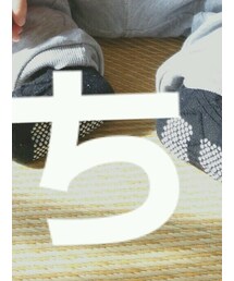 Birthday | ソックス/靴下