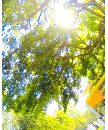 Rodeo Crowns | カーディガン/ボレロ