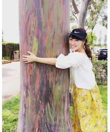 🌴❤️ | その他