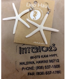 hawaiiで購入🌴 | イヤリング