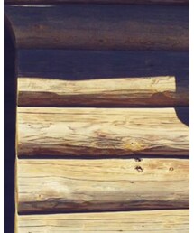 UNIQLO | デニムパンツ