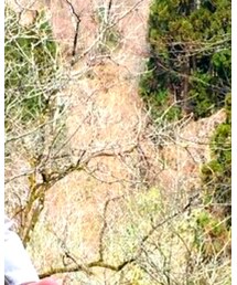 RAGEBLUE | ニット/セーター