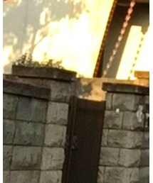 THE SHOP TK  | スラックス