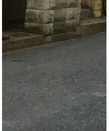 UNIQLO | ソックス/靴下