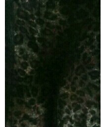 しまむら | スカート