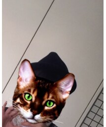 Ray BEAMS | ハット