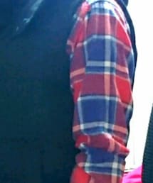 チェックのシャツ | シャツ/ブラウス