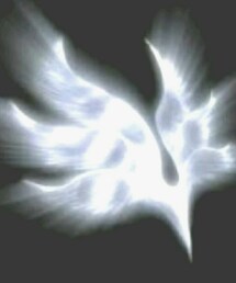 BUMP OF CHICKEN | 音楽/本・雑誌