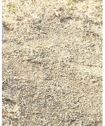 babyGAP | シューズ