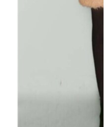 no brand | その他